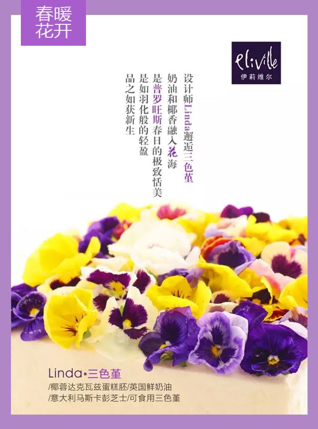 王中王339期指一生肖——探尋背后的秘密與玄機(jī)，探尋王中王339期生肖背后的秘密與玄機(jī)