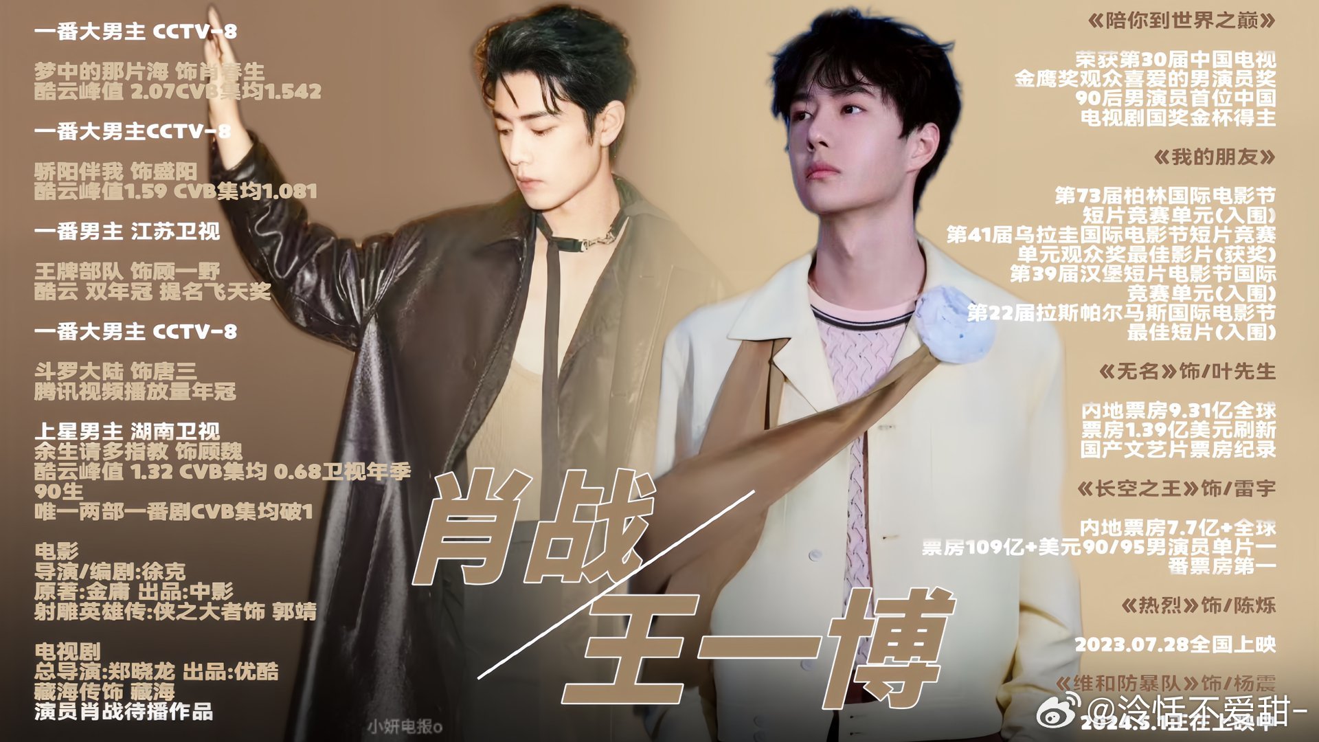 王中王一肖中特全年資料解析與SEO優(yōu)化策略，王中王一肖中特全年資料解析與SEO策略詳解