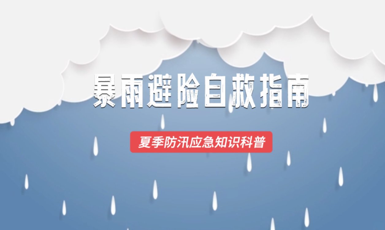 澳門六2023開獎結(jié)果詳解及預測分析，澳門六開獎結(jié)果詳解與預測分析（2023年）