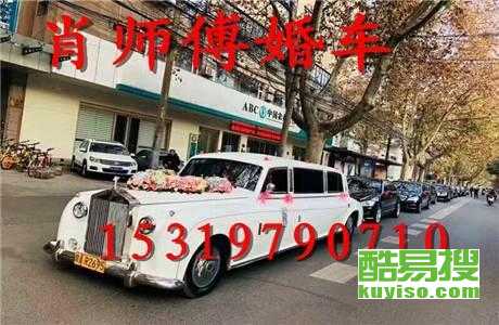 王中王車奪平特一肖免費(fèi)——深度解析與探索，王中王車奪平特一肖，深度解析與免費(fèi)探索