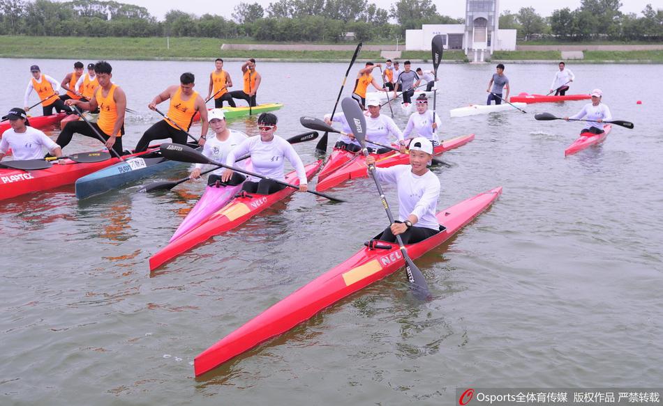 王中王一碼一肖免費(fèi)公開，揭秘精準(zhǔn)預(yù)測的秘密，揭秘王中王一碼一肖精準(zhǔn)預(yù)測的秘密，免費(fèi)公開揭秘！