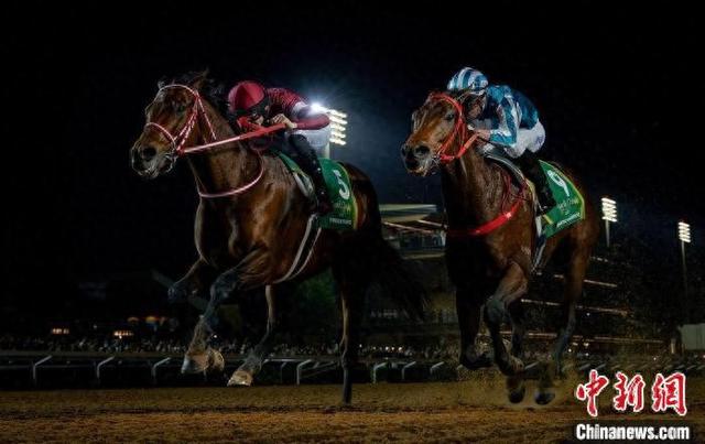 香港王中王一肖中特馬，探索背后的奧秘，香港王中王一肖中特馬背后的奧秘探索