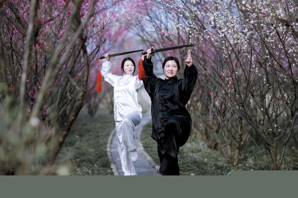 揭秘劉伯溫一期一肖期期中的奧秘與傳奇，劉伯溫一期一肖奧秘與傳奇揭秘