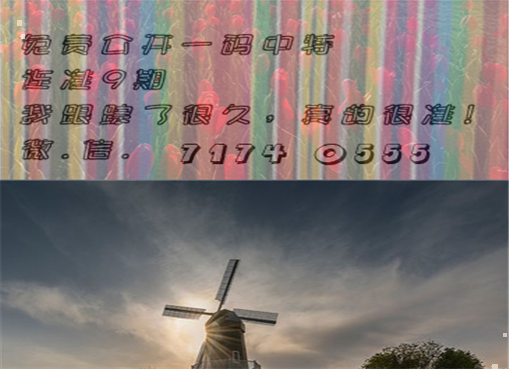 王中王四肖三期必出一期，揭秘彩票背后的秘密策略與技巧，揭秘彩票策略與技巧，王中王四肖三期必出一期之道