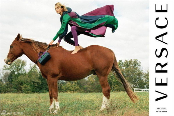 正版四不像資料免費(fèi)大全——你需要的所有資源都在這里，正版四不像資料免費(fèi)大全，一站式資源平臺(tái)