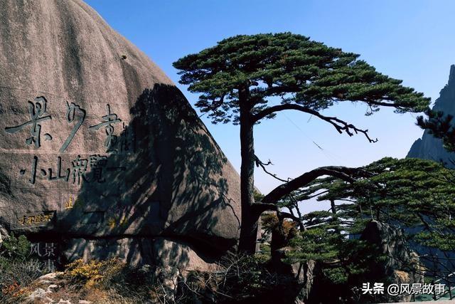 澳門四不像正版