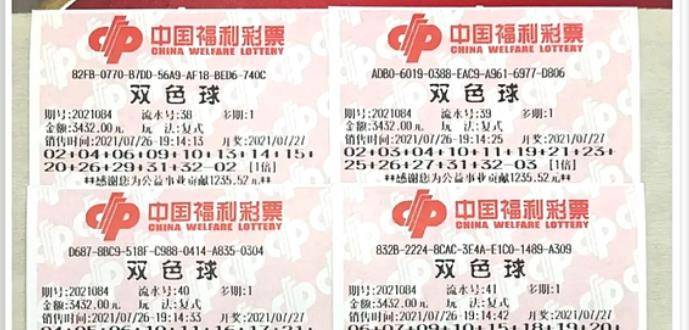 王中王084期指一生肖，解讀背后的秘密與生肖運勢分析，王中王084期生肖揭秘，秘密解讀與運勢展望