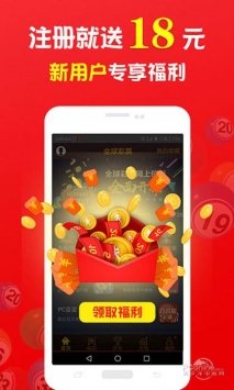 王中王的一肖，探尋背后的奧秘與故事，王中王的一肖，揭秘背后的奧秘與傳奇故事