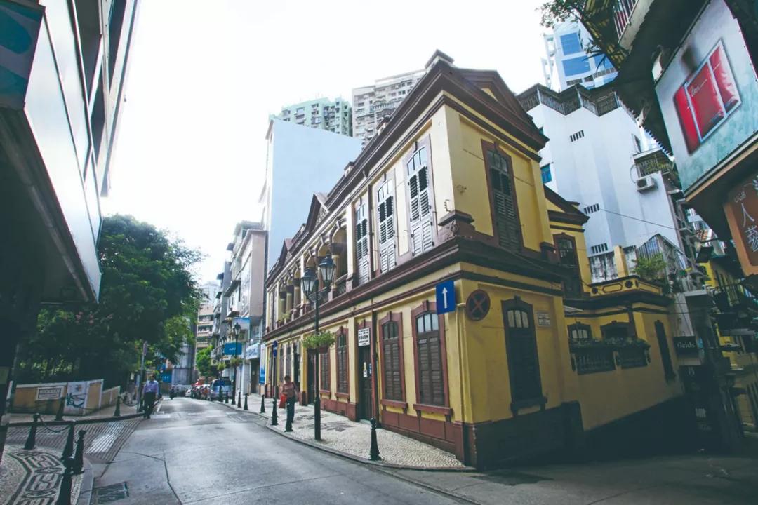 新澳門一肖單像——揭秘生肖彩票的奧秘，揭秘新澳門生肖彩票奧秘，一肖單像探秘