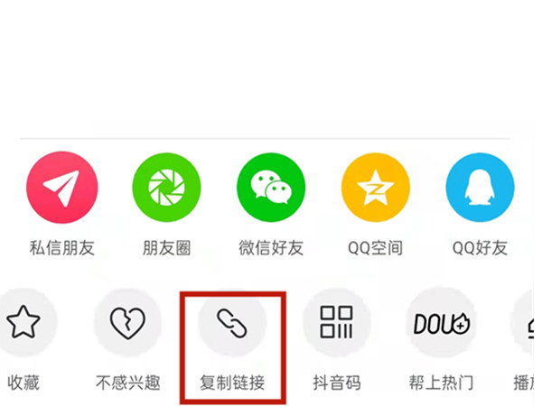 白小姐王中王中特一肖，神秘傳奇與SEO探索，神秘傳奇與SEO探索，白小姐王中王中特一肖的奧秘