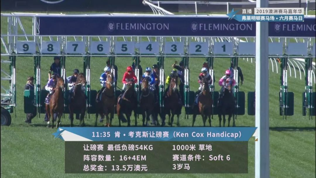 賽馬澳門六月開獎結(jié)果，探索與期待，澳門六月賽馬開獎揭曉，探索結(jié)果引期待