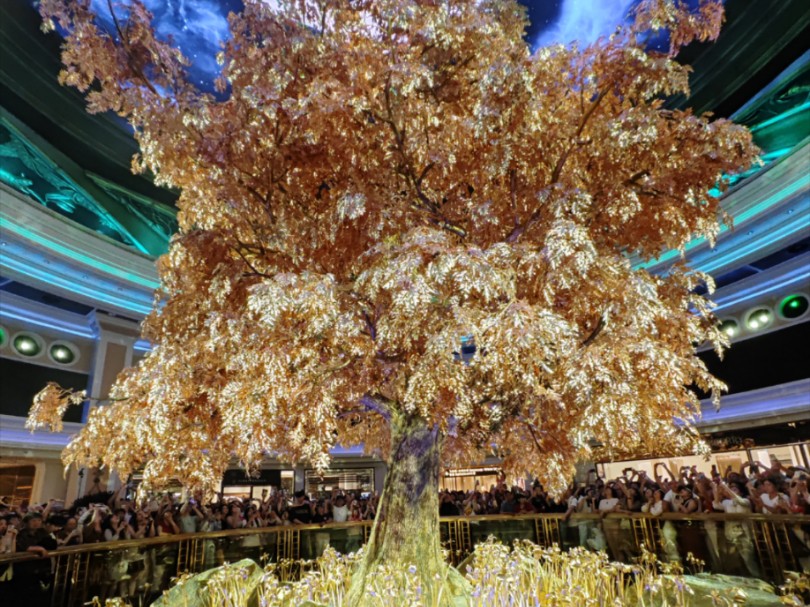 澳門搖錢樹開獎最快——探索彩票世界的神秘魅力，澳門搖錢樹彩票開獎揭秘，探索神秘彩票世界的魅力