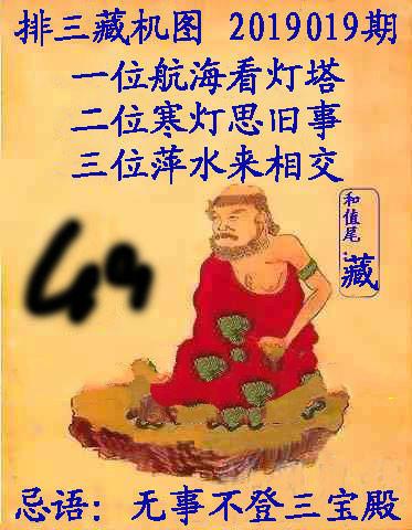 王中王019期指一生肖，深度解讀與SEO優(yōu)化策略，王中王019期生肖深度解讀與SEO策略優(yōu)化指南