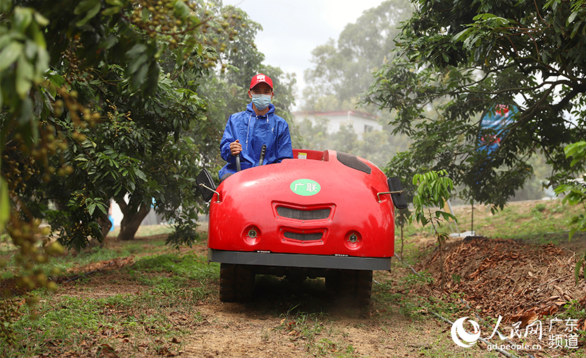 每期一肖一碼中一，揭秘彩票背后的秘密與策略分析，彩票背后的秘密與策略分析，每期一肖一碼中一揭秘