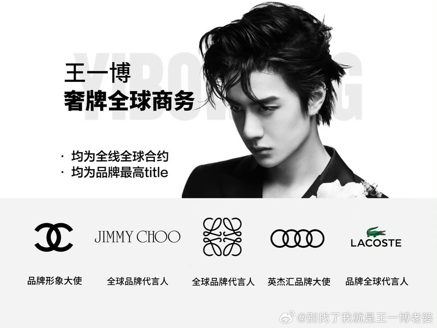 揭秘搜索關(guān)鍵詞背后的秘密，i王中王一肖中特，揭秘搜索關(guān)鍵詞背后的秘密，揭秘i王中王一肖中特真相