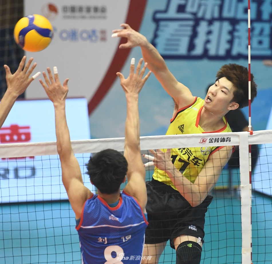 王中王平特一肖必，探尋背后的故事與奧秘，探尋王中王平特一肖背后的故事與奧秘