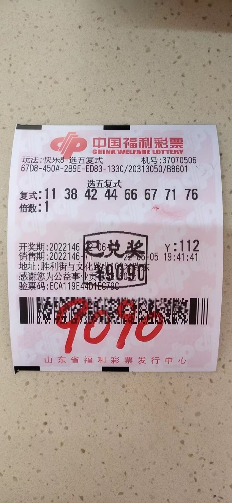 揭秘002期王中王平特一肖，背后的故事與奧秘，揭秘王中王平特一肖背后的故事與奧秘（第002期）