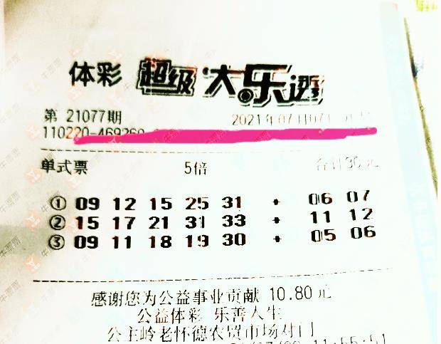 王中王077期指一生肖——揭秘背后的奧秘與生肖運(yùn)勢(shì)分析，揭秘生肖奧秘與運(yùn)勢(shì)分析，王中王生肖預(yù)測(cè)077期揭曉！