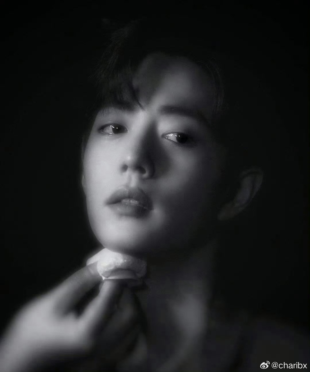 王中王資料一肖圖片，深度解析與SEO優(yōu)化，王中王資料一肖圖片，深度解析及SEO優(yōu)化指南