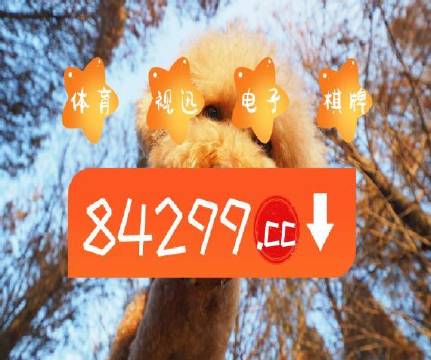 澳門天天開彩好正版掛牌第168期，探索彩票的魅力與策略，澳門彩票探索，魅力與策略揭秘 第168期正版掛牌開彩體驗