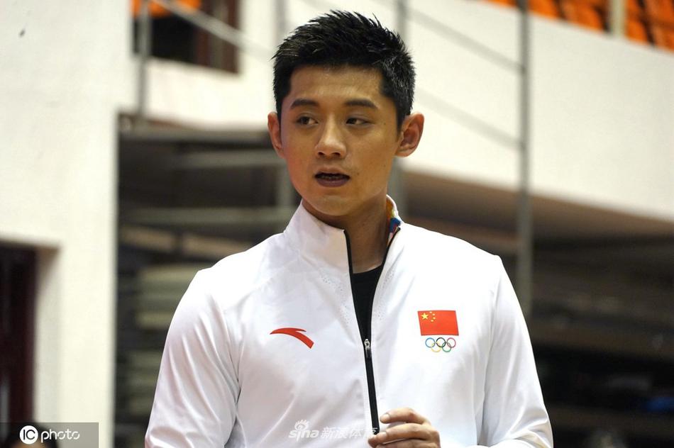 劉伯溫網站平特一肖，揭秘與探索，劉伯溫網站平特一肖揭秘之旅