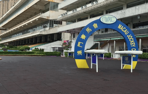 新澳門(mén)一肖一馬一特一中——探索澳門(mén)的獨(dú)特魅力，澳門(mén)獨(dú)特魅力探索之旅，一肖一馬一特一中揭秘