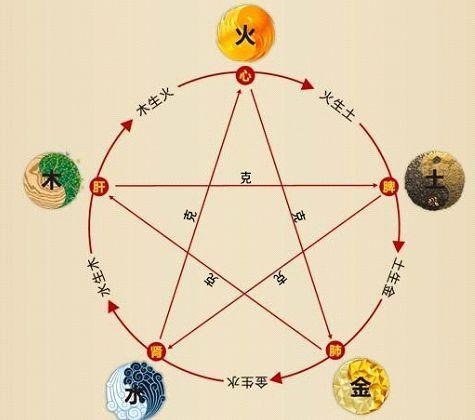 鐵算算盤4887最準資料，揭秘其背后的秘密與優(yōu)勢，揭秘鐵算算盤4887，最準資料背后的秘密與優(yōu)勢