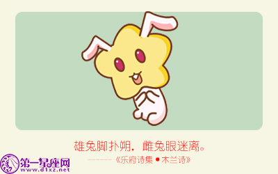 揭秘精準(zhǔn)生肖，探尋神奇的數(shù)字組合777778與888888背后的生肖秘密，揭秘生肖秘密，數(shù)字組合777778與888888背后的生肖傳奇