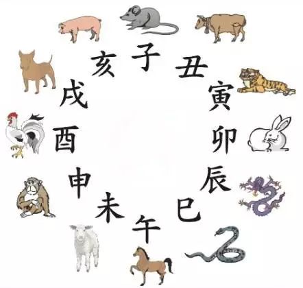 澳門(mén)天天彩期期精準(zhǔn)十二生肖預(yù)測(cè)——揭秘彩票秘密，澳門(mén)天天彩期期精準(zhǔn)十二生肖預(yù)測(cè)，揭秘彩票秘密之獨(dú)家解析