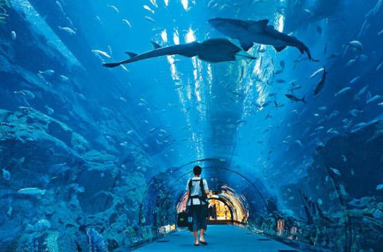 9點(diǎn)30分彩新澳，探索彩票新世界的奧秘，彩票新世界探索，揭秘新澳彩票奧秘的9點(diǎn)30分之旅