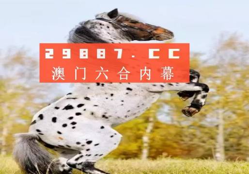 白小姐的精準(zhǔn)免費(fèi)四肖，揭秘背后的秘密，揭秘白小姐精準(zhǔn)免費(fèi)四肖背后的秘密