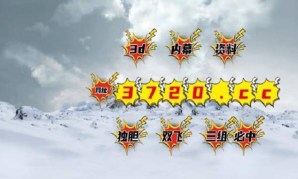 揭秘4887王中王精準(zhǔn)資料，全方位解讀，讓你贏在起跑線，揭秘王中王精準(zhǔn)資料，全方位解讀助你贏在起跑線