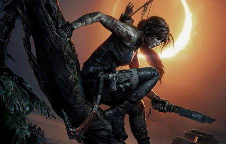 新澳殺肖，深度解析與探索，新澳殺肖，深度剖析與探索