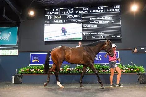 香港最精準(zhǔn)的特馬資料，揭秘賽馬世界的秘密，香港精準(zhǔn)特馬資料揭秘，賽馬世界的奧秘探秘