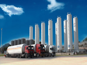 新奧芳草地正版資料大全——探索與發(fā)現(xiàn)的知識寶庫，新奧芳草地正版資料大全，知識寶庫，探索與發(fā)現(xiàn)的旅程