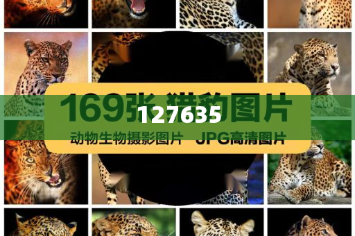 精準(zhǔn)新傳真，揭秘?cái)?shù)字組合7777788888的神秘面紗，揭秘?cái)?shù)字組合7777788888的神秘面紗，精準(zhǔn)新傳真解讀