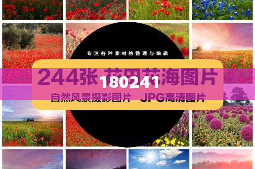 揭秘精準管家婆狗，77777與88888的神秘面紗，揭秘精準管家婆狗，神秘數(shù)字77777與88888背后的秘密