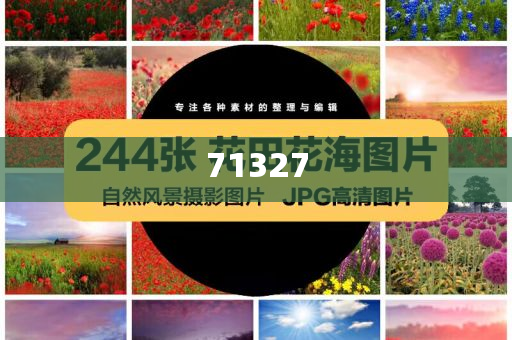 探索777788888管家婆網(wǎng)，一站式解決方案的綜合服務(wù)平臺(tái)，一站式解決方案的綜合服務(wù)平臺(tái)，探索777788888管家婆網(wǎng)