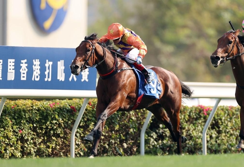 香港賽馬會，探索賽馬運動的魅力與激情的交匯點——7777788888的獨特魅力，香港賽馬會，賽馬運動的激情交匯點與獨特魅力探索