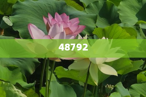 新奧彩免費(fèi)提供