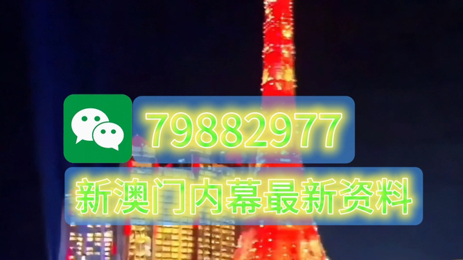 全新2025澳門生肖卡，探索未來幸運之門，全新2025澳門生肖卡，開啟未來幸運之門