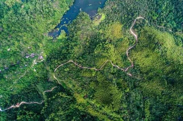 新澳門出彩生肖走勢圖，深度解析與預測，新澳門出彩生肖走勢圖深度解析及預測報告