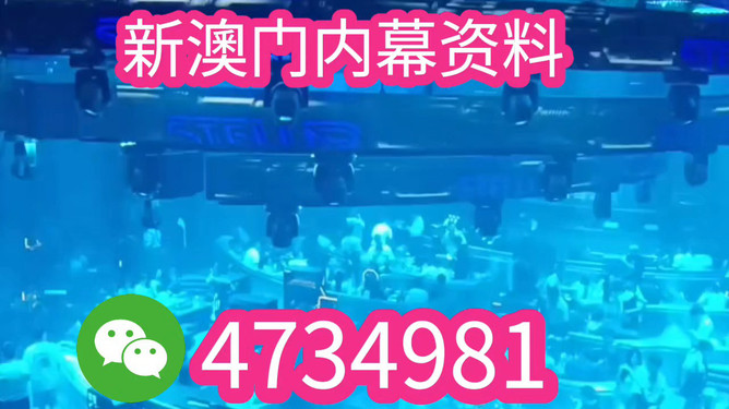 揭秘未來(lái)之星，2025新澳王中王，揭秘未來(lái)之星，2025新澳王中王風(fēng)采展示