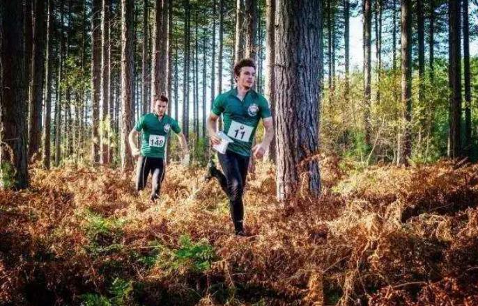 港澳免費(fèi)精準(zhǔn)資料大全，探索與獲取指南，港澳免費(fèi)精準(zhǔn)資料大全，探索與獲取指南全攻略