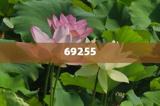 新門(mén)內(nèi)部資料免費(fèi)大全最新版本詳細(xì)介紹，新門(mén)內(nèi)部資料大全最新版詳解