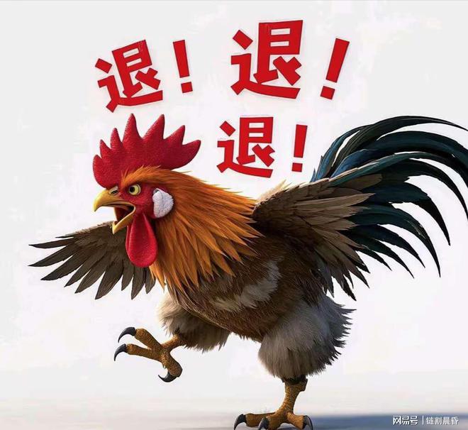 2023年澳門今晚最新消息概覽，澳門最新消息概覽，2023年今晚動(dòng)態(tài)速遞