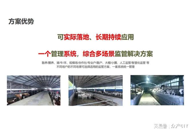 探索新澳芳草地，正版資料的免押之旅（2025年最新資訊），探索新澳芳草地，正版資料免押之旅（最新資訊）