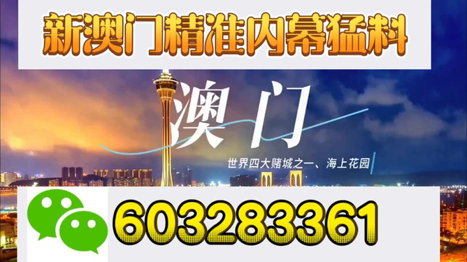 新澳門今晚開獎結(jié)果揭曉，探索彩票背后的秘密與期待，新澳門今晚開獎結(jié)果揭曉，彩票背后的秘密與期待揭曉之夜