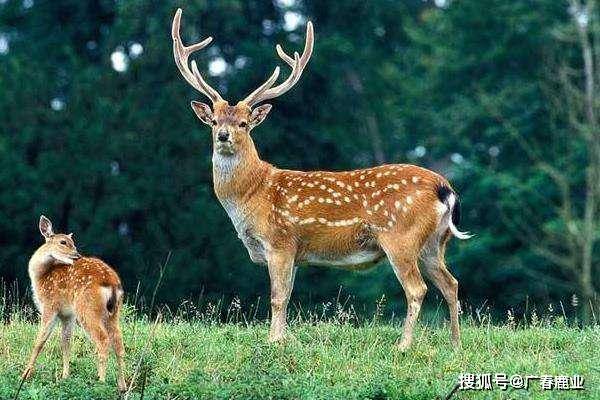 最新版本的6566cc澳彩資料大全介紹與特色功能解析，圖庫(kù)升級(jí)亮點(diǎn)一覽，最新6566cc澳彩資料大全介紹與特色功能解析，圖庫(kù)升級(jí)亮點(diǎn)全揭秘