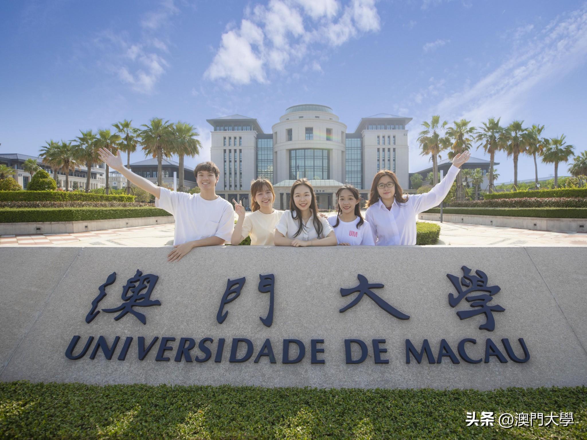 澳門今期開獎號碼分析及其影響，澳門今期開獎號碼分析與影響概述